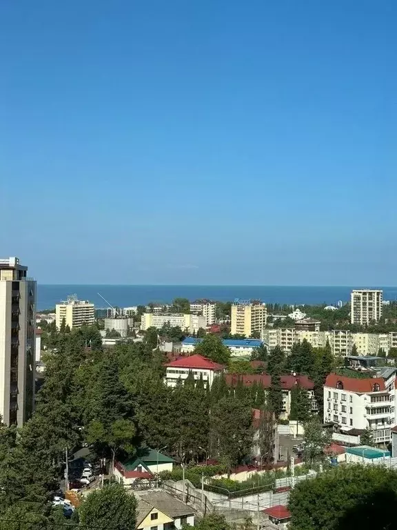 3-к кв. Краснодарский край, Сочи Центральный мкр, пер. Горького, 24к1 ... - Фото 2