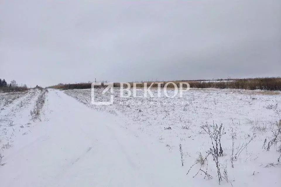 Участок в Костромская область, Кострома Соколиное Гнездо кп, 1 (9.1 ... - Фото 1