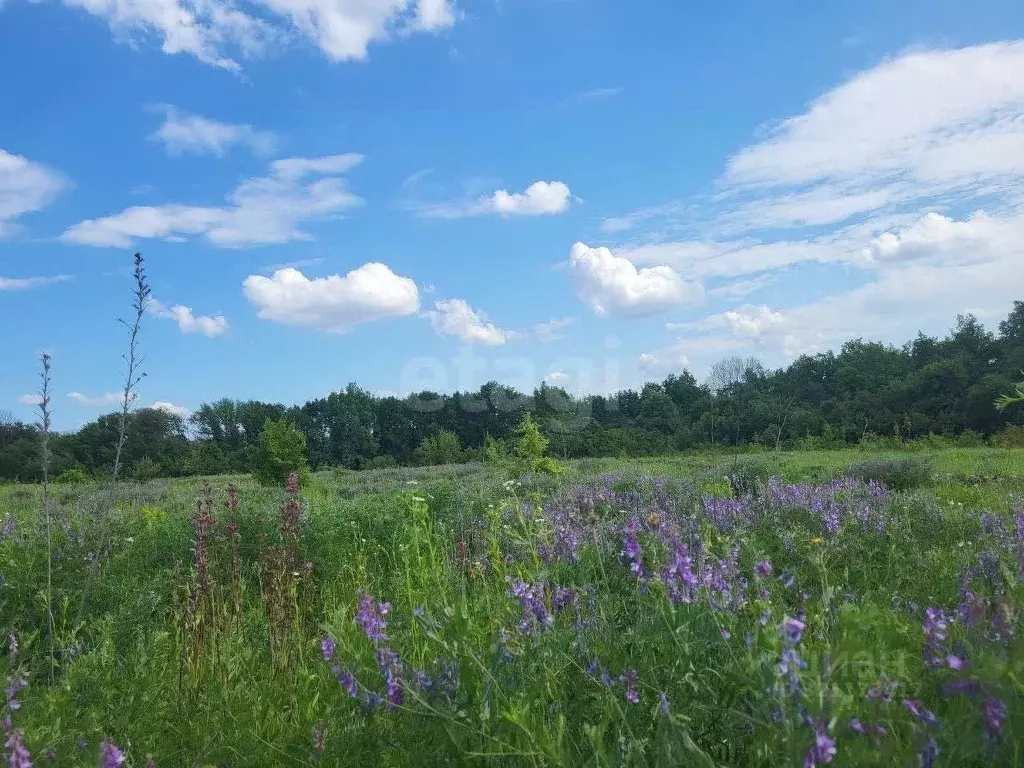 Участок в Курская область, Курский район, с. Рышково  (14.0 сот.) - Фото 0
