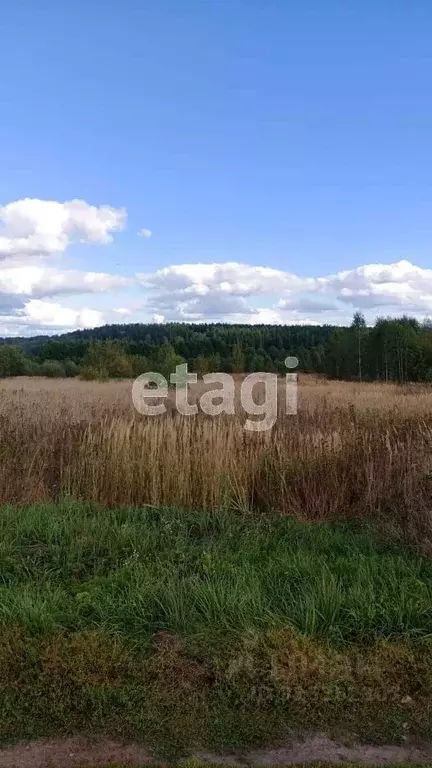 Участок в Владимирская область, Муром  (500.0 сот.) - Фото 1