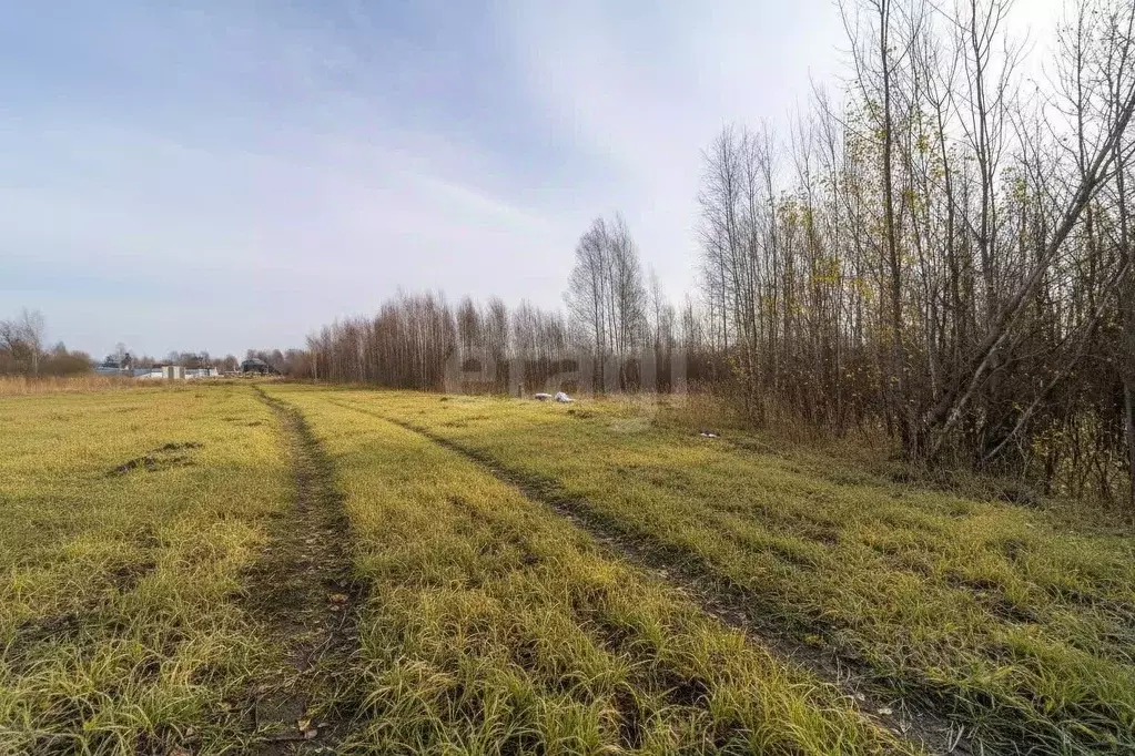 Участок в Тюменская область, Тюмень  (6.0 сот.) - Фото 1