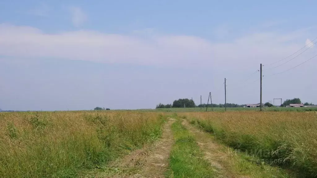 Участок в Московская область, Клин городской округ, Чистые Пруды дп  ... - Фото 0