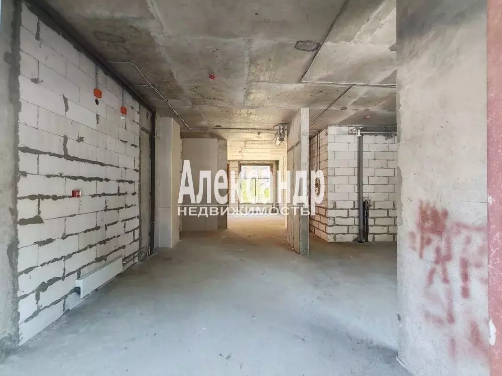 Помещение свободного назначения в Санкт-Петербург Большой ... - Фото 1