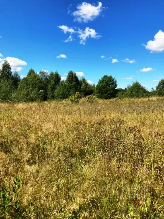 Участок в Владимирская область, Кольчугинский район, д. Новофроловское ... - Фото 1