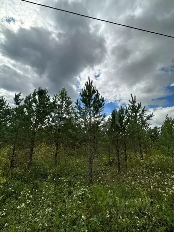 Участок в Тюменская область, Нижнетавдинский район, с. Черепаново  ... - Фото 0