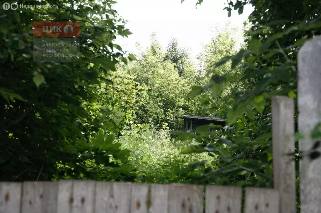 Дом в Плахино, Школьная улица (54 м) - Фото 0