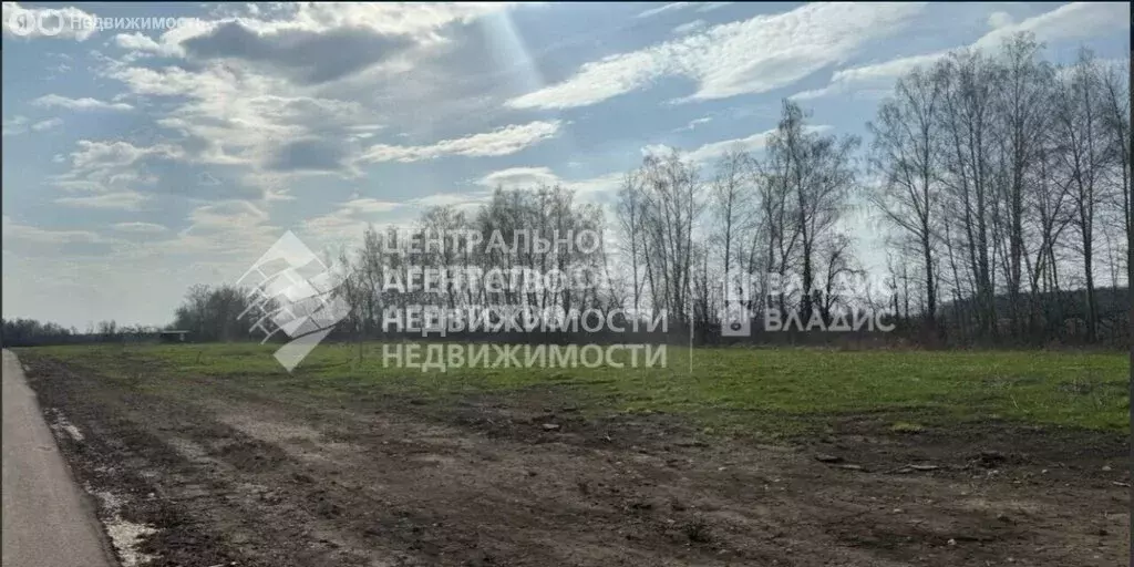 Участок в Рыбновский район, Баграмовское сельское поселение, село ... - Фото 2