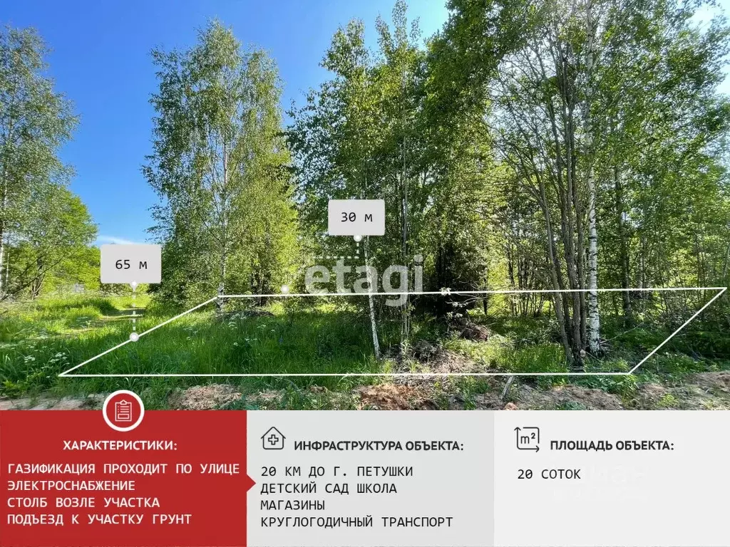 Участок в Владимирская область, Петушинский муниципальный округ, д. ... - Фото 1