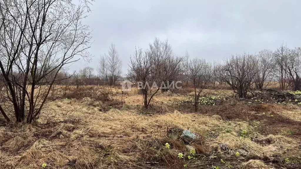 Участок в Сахалинская область, Анивский городской округ, с. Троицкое ... - Фото 1