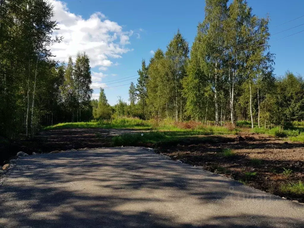 Участок в Ленинградская область, Всеволожский район, Куйвозовское ... - Фото 2