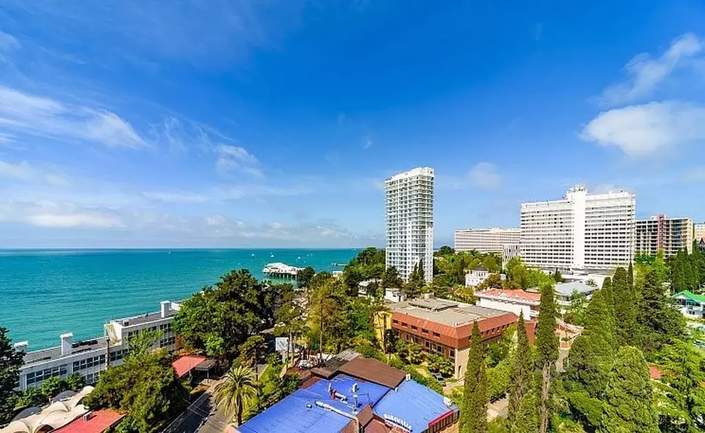 1-к кв. Краснодарский край, Сочи Светлана мкр, ул. Депутатская, 2 ... - Фото 2