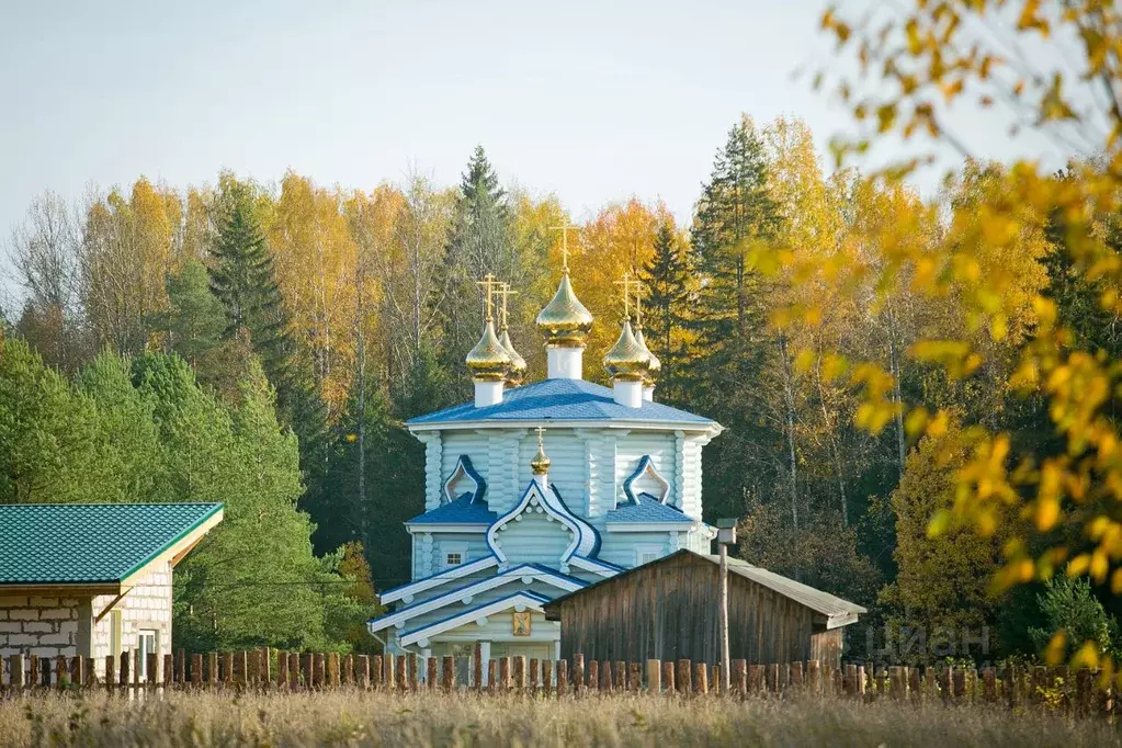 Участок в Ленинградская область, Всеволожский район, Колтушское ... - Фото 0