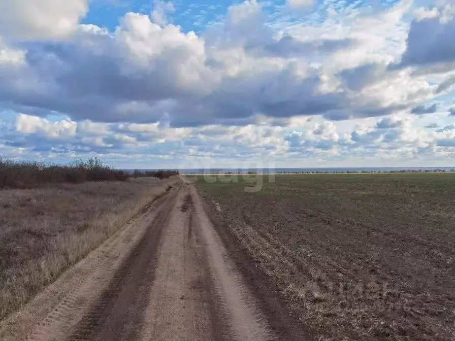 Участок в Крым, Черноморский район, Окуневское с/пос, с. Громово  ... - Фото 1