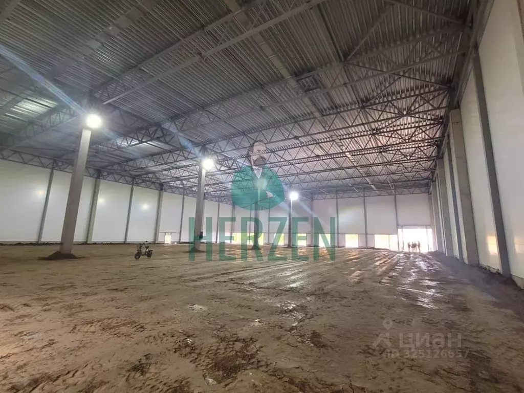 Склад в Московская область, Раменский муниципальный округ, ... - Фото 2