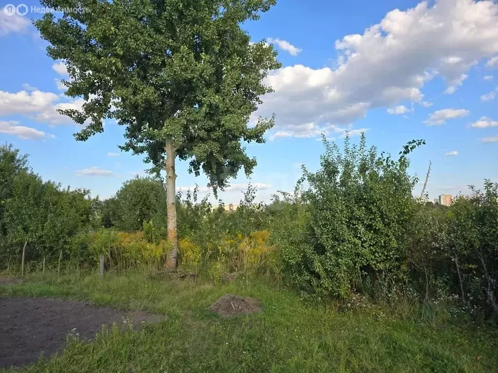 Участок в Путёвка, территория садоводческого общества Снежка (7 м) - Фото 0