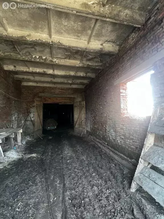 Помещение свободного назначения (980 м) - Фото 2