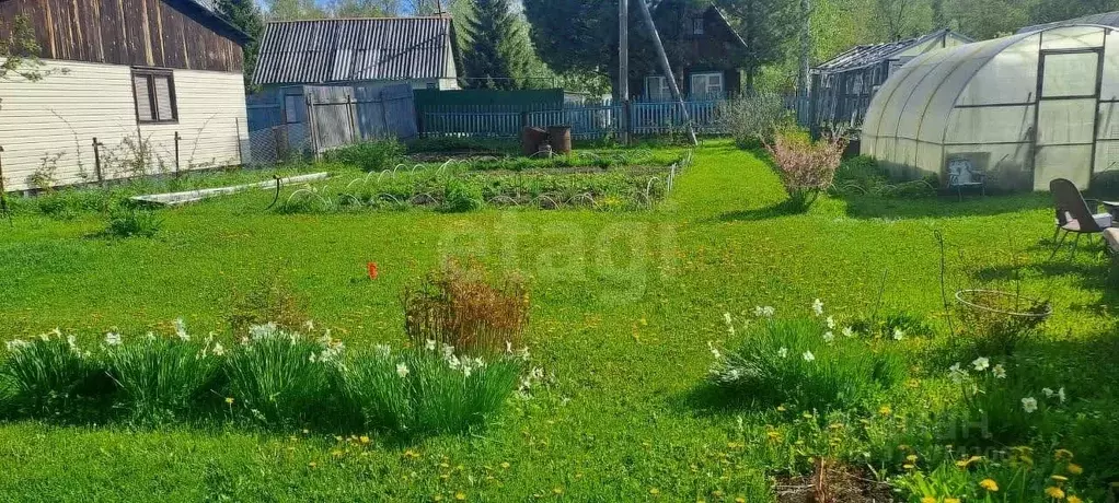 Дом в Новосибирская область, Новосибирск Парус СНТ,  (24 м) - Фото 1