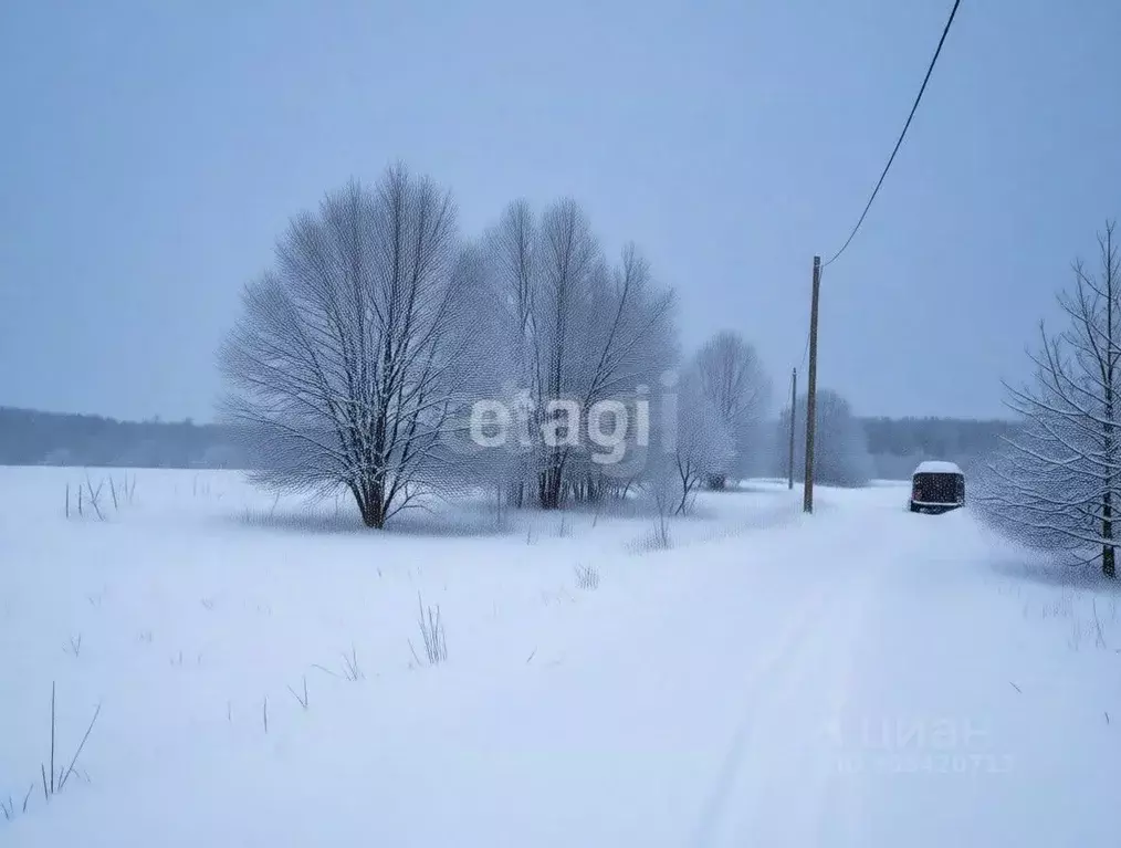 Участок в Ленинградская область, Киришский район, Пчевжинское с/пос, ... - Фото 2