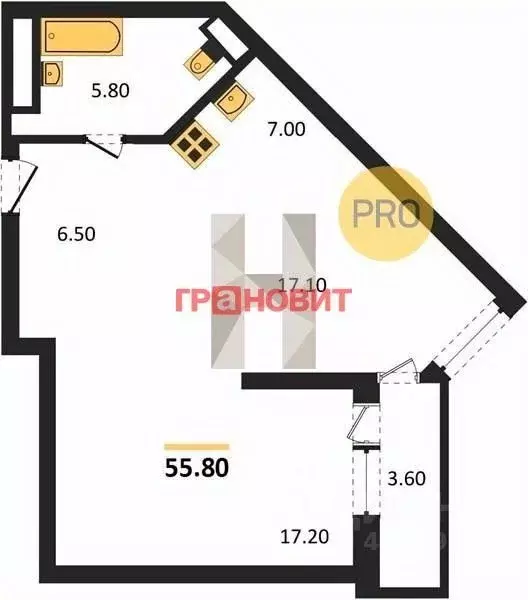 2-к кв. Новосибирская область, Новосибирск ул. Фрунзе, 220 (54.9 м) - Фото 1