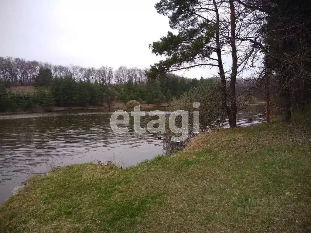 Участок в Белгородская область, Белгородский район, Головинское с/пос, ... - Фото 1