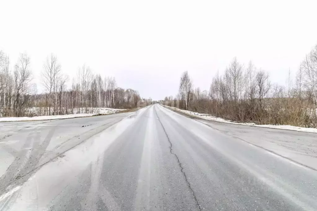 Участок в Тюменская область, Нижнетавдинский район, д. Калиновка  ... - Фото 1