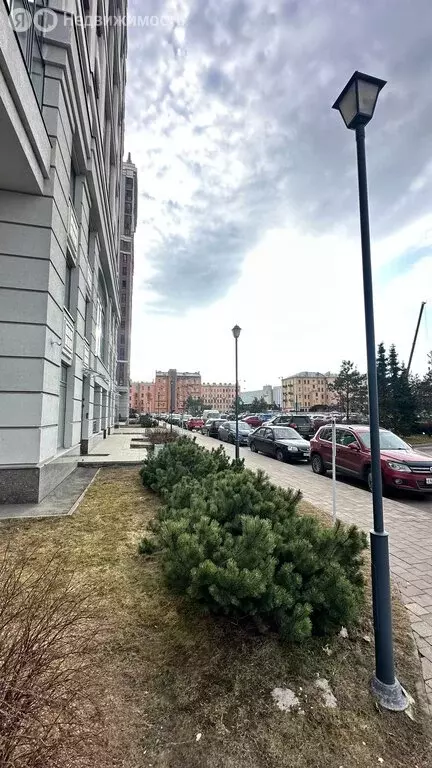 Помещение свободного назначения (81.5 м) - Фото 1