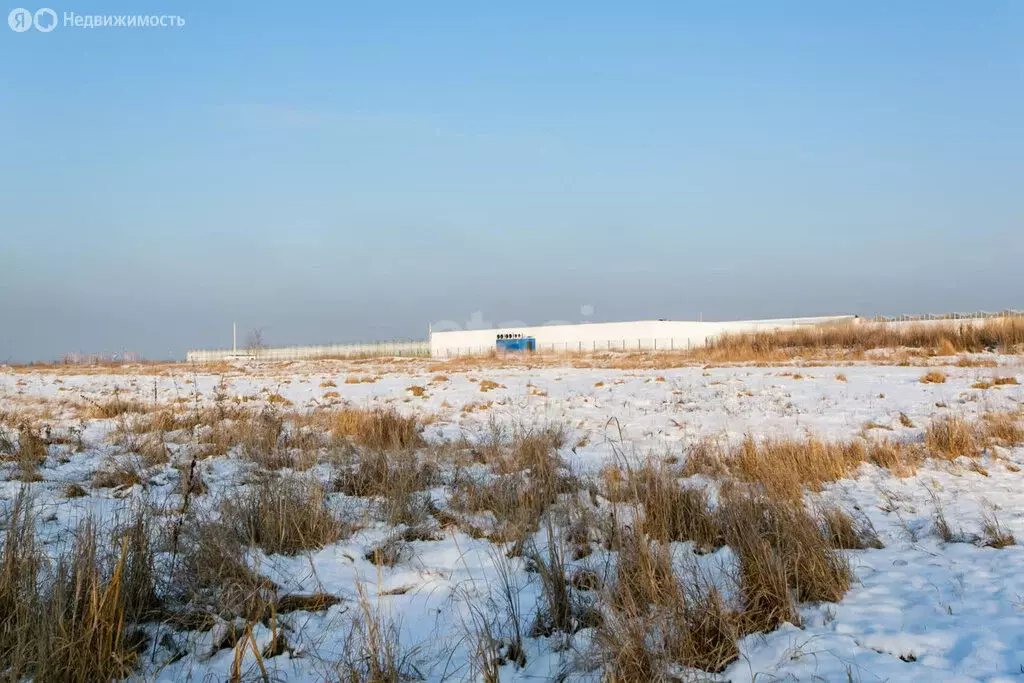 Участок в Новосибирский район, Толмачёвский сельсовет, село ... - Фото 1