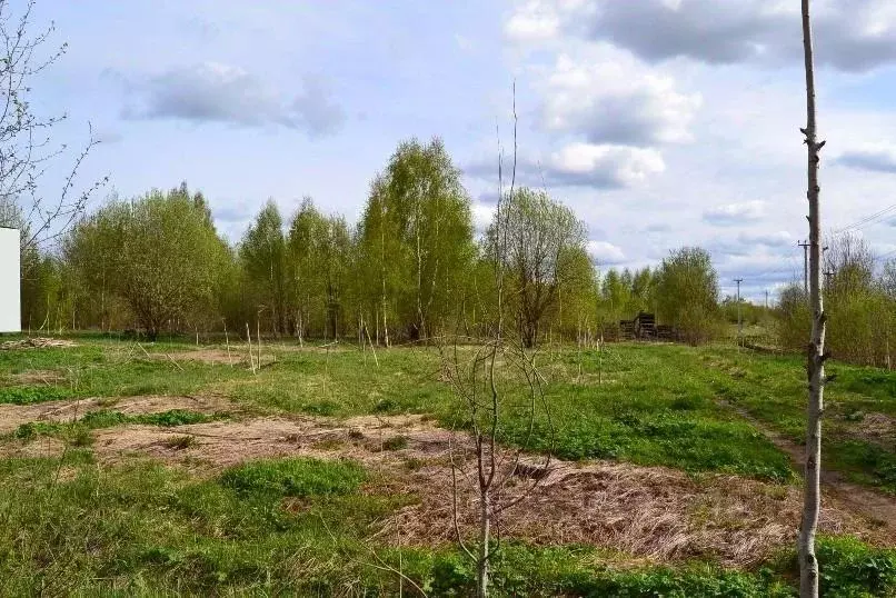 Участок, 49 сот., фермерское хоз-во - Фото 1