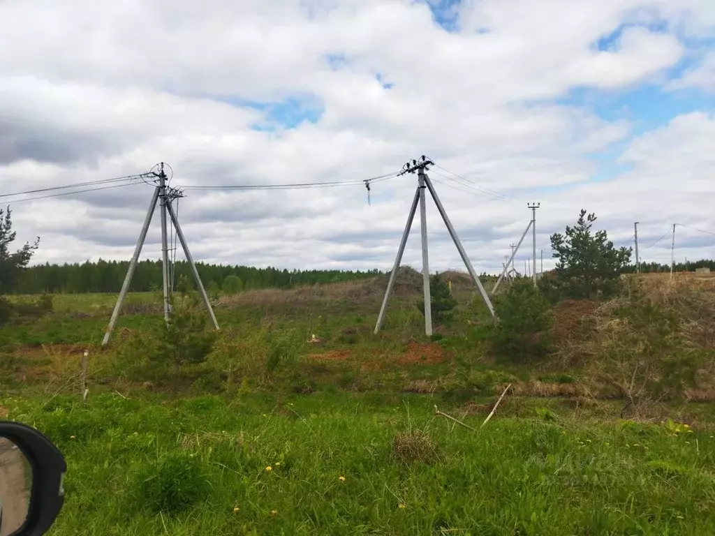 Участок в Нижегородская область, Арзамас городской округ, с. Ковакса  ... - Фото 1