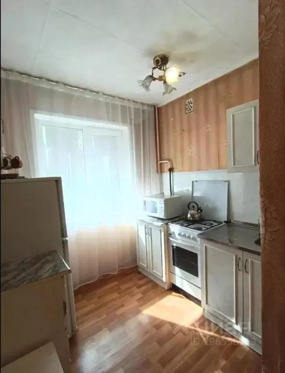 1-к кв. Алтайский край, Барнаул ул. Островского, 58 (31.0 м) - Фото 2