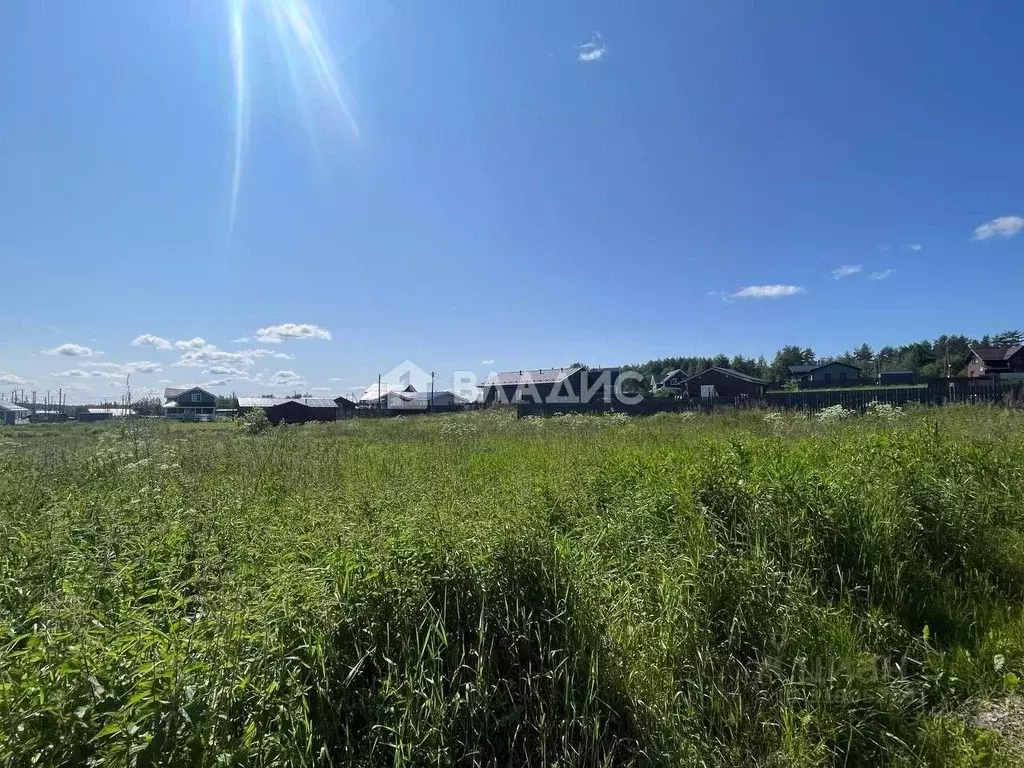 Участок в Ленинградская область, Приозерский район, Красноозерное ... - Фото 1