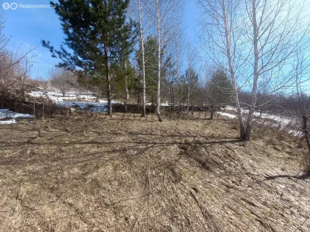 Участок в Республика Алтай, Горно-Алтайск (8.6 м) - Фото 1