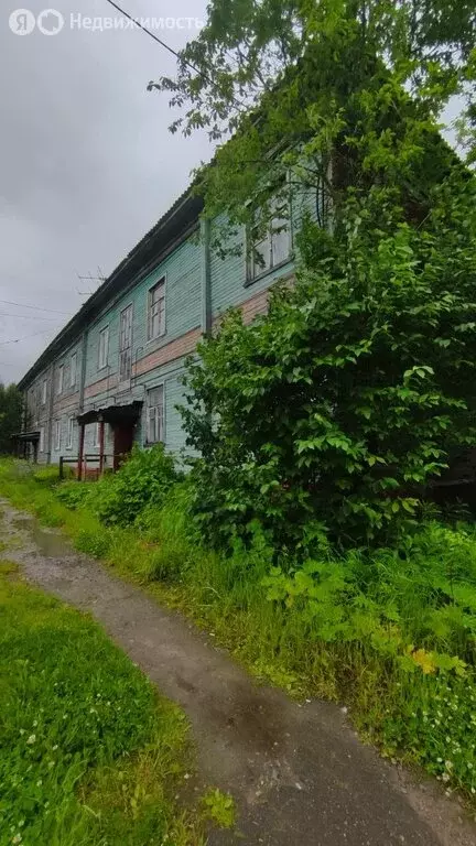 1к в 3-комнатной квартире (19 м) - Фото 1