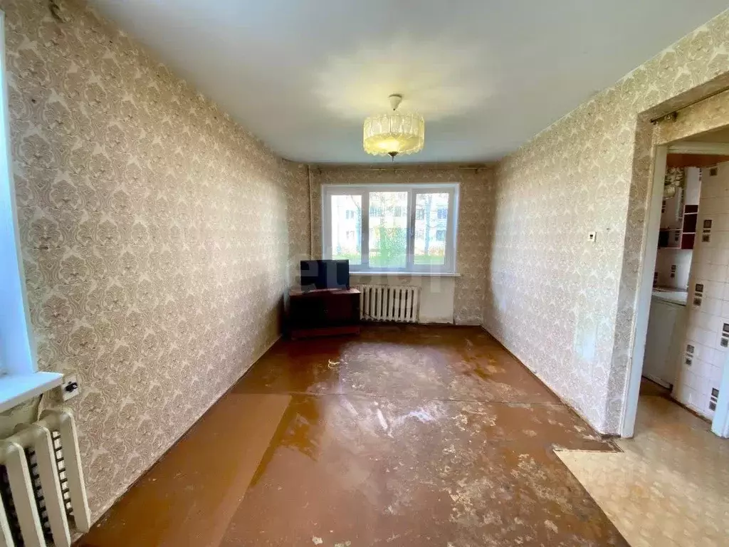 1-к кв. Псковская область, Порховский муниципальный округ, д. Хилово ... - Фото 2