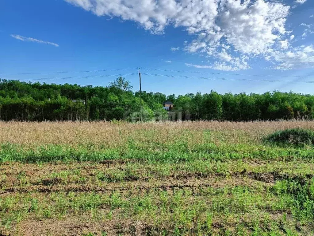 Участок в Амурская область, Благовещенский район, с. Кантон-Коммуна ... - Фото 2