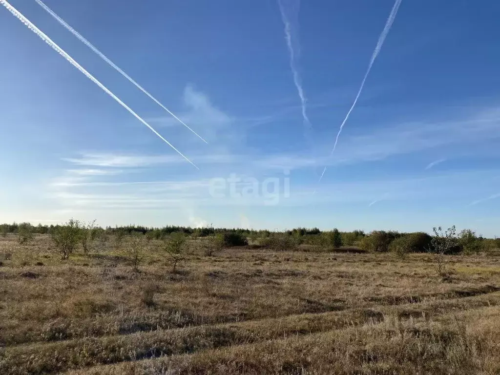 Участок в Тамбовская область, Тамбовский муниципальный округ, д. ... - Фото 0