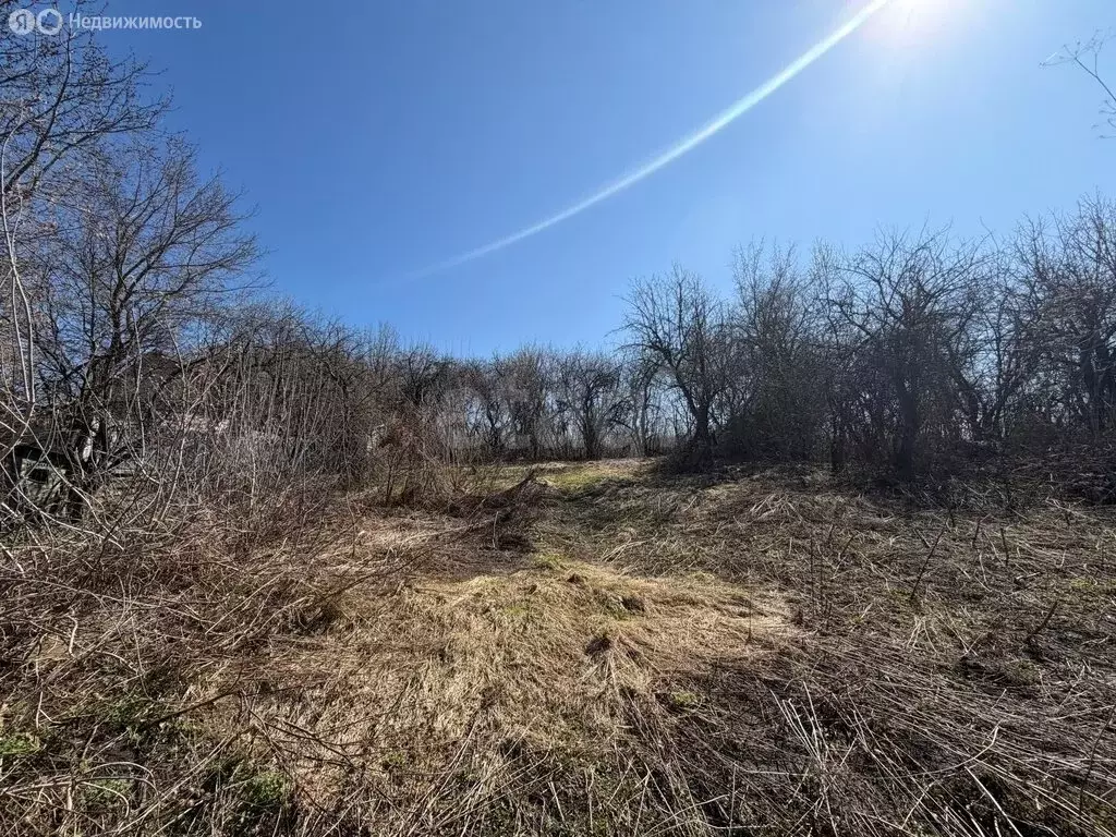 Участок в Саранск, СТ Память Мичурину (17 м) - Фото 1