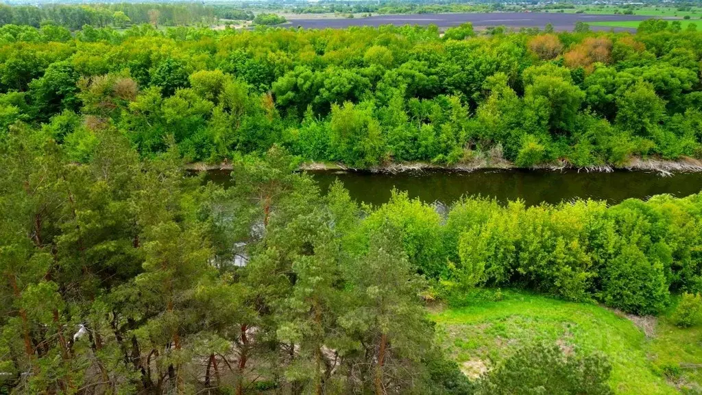 Участок в Курская область, Курский район, Бесединский сельсовет, с. ... - Фото 0