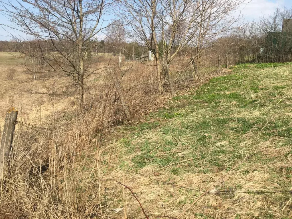 Участок в Московская область, Пушкинский городской округ, д. ... - Фото 0