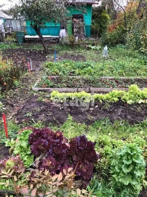 Купить Дом Дачу В Заволжском Районе