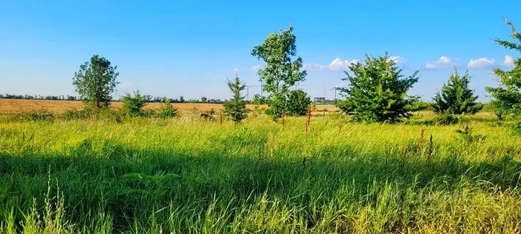 Участок в Краснодарский край, Северская ст-ца  (7.0 сот.) - Фото 1