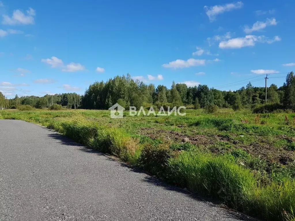 Участок в Ленинградская область, Всеволожский район, Куйвозовское ... - Фото 2