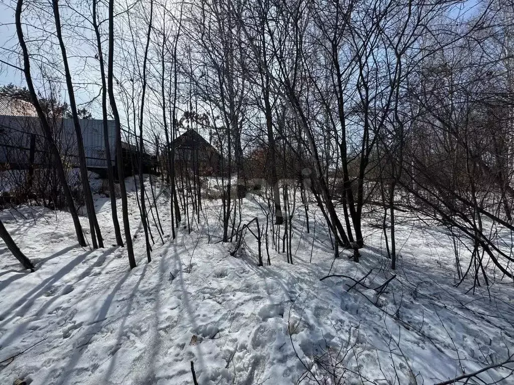 Участок в Амурская область, Благовещенск городской округ, пос. ... - Фото 1
