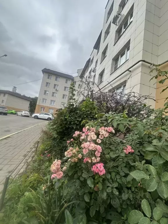 1-к кв. Тульская область, Тула городской округ, с. Осиновая Гора, ... - Фото 1