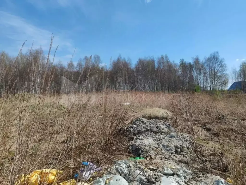 Участок в Тюменская область, Тюмень Автомобилист СНТ, ул. Рябиновая ... - Фото 1