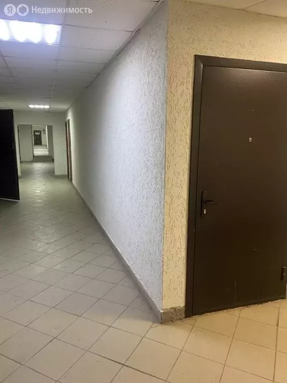 Помещение свободного назначения (61 м) - Фото 1