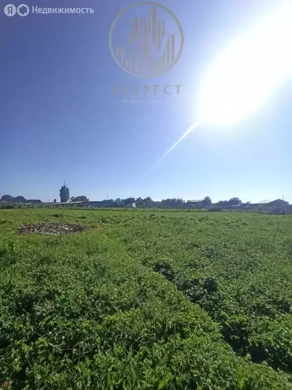 Участок в село Элькуш, Центральная улица (15 м) - Фото 2