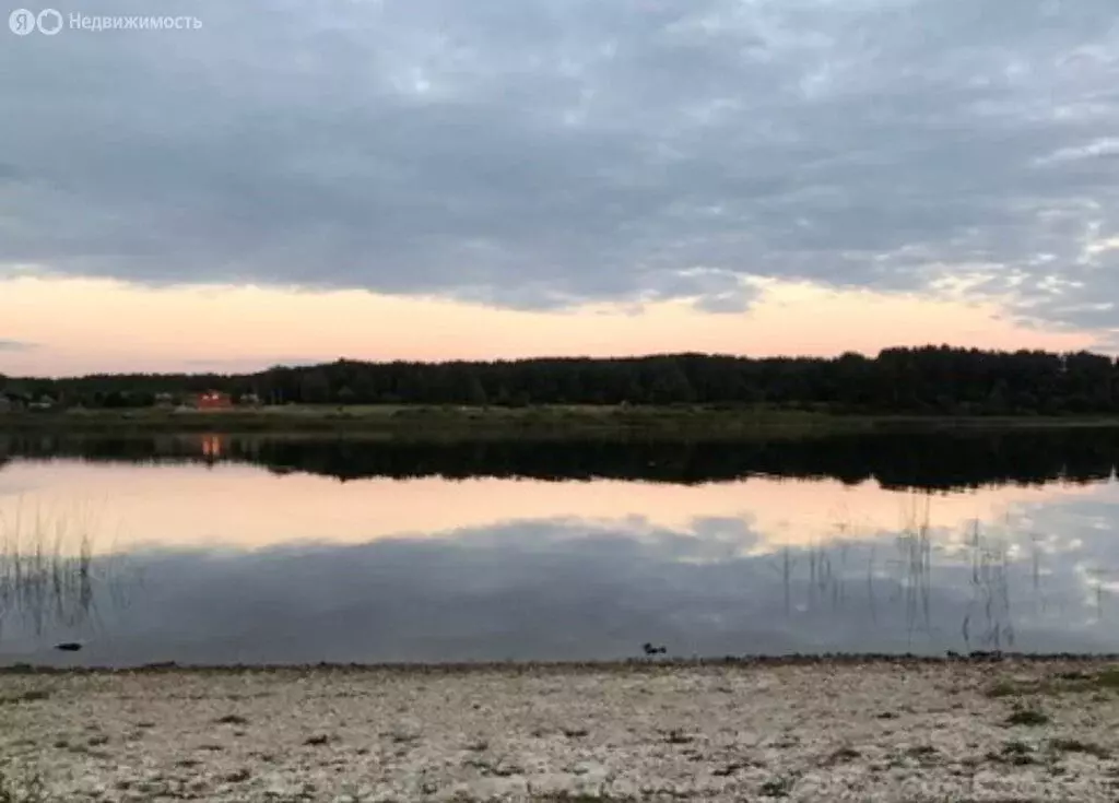 Участок в Псковский район, Тямшанская волость, деревня Малая Гоголёвка ... - Фото 2