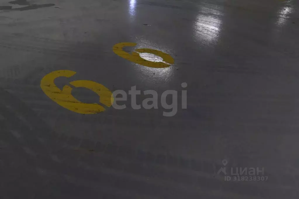 Гараж в Ленинградская область, Мурино Всеволожский район, просп. ... - Фото 1