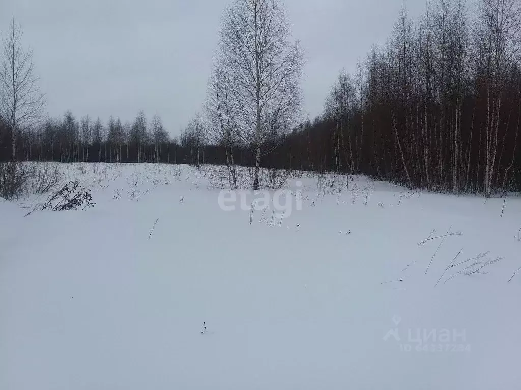 Участок в Нижегородская область, Выкса городской округ, д. Грязная  ... - Фото 1